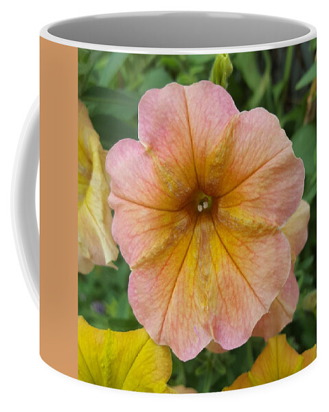 Flower Coffee Mug featuring the photograph Little Teeth by Jim Harris