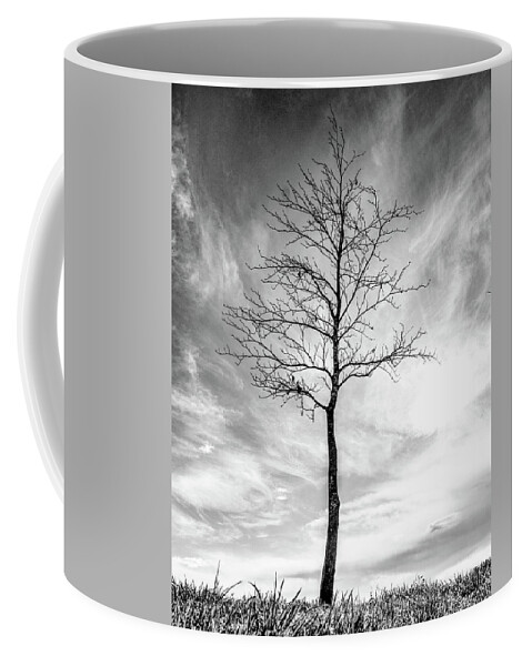 Tree Coffee Mug featuring the photograph Little Tree by Roseanne Jones