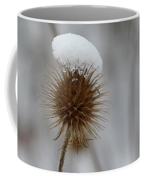 Winter Coffee Mug featuring the photograph Little White Hood by Valerie Ornstein
