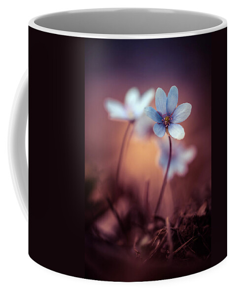 Afternoon Coffee Mug featuring the photograph Liverworts by Jaroslaw Blaminsky