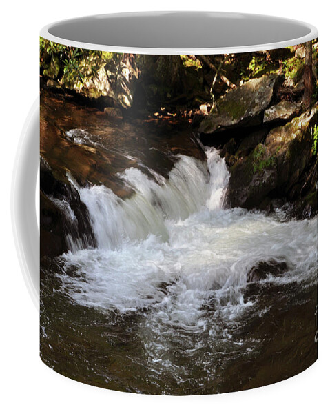 Living Streams Coffee Mug featuring the photograph Living Streams by Lydia Holly