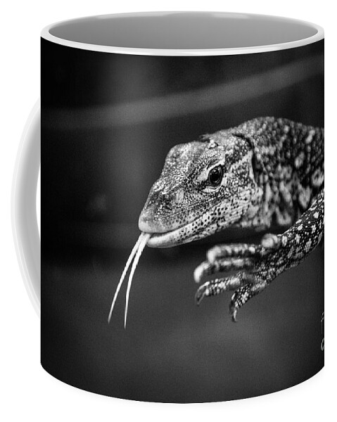 Lizard Coffee Mug featuring the photograph Lizard by Jim Gillen