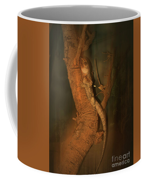 Lizard Coffee Mug featuring the photograph Lizard on a Tree Trunk by Elaine Teague