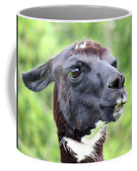 Llama Coffee Mug featuring the photograph Llama Lips by Linda Stern
