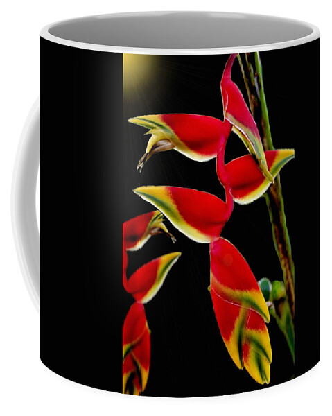 Flower Coffee Mug featuring the photograph Lobster Claw by DJ Florek