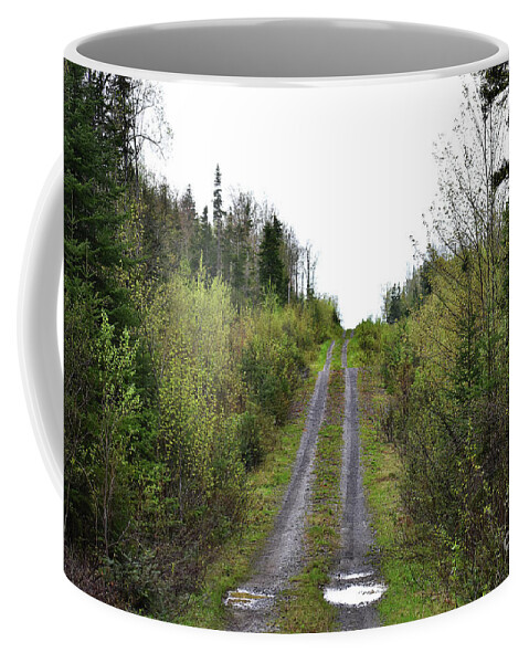 Scenic Tours Coffee Mug featuring the photograph Logging Trail North Woods by Skip Willits