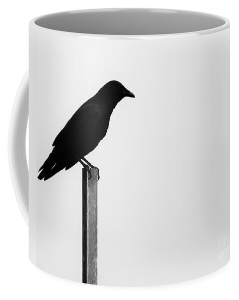 Bird Coffee Mug featuring the photograph Lone Bird by Jan Gelders