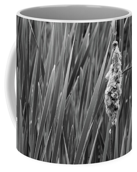 Nature Coffee Mug featuring the photograph Lone Cattail by Lisa Blake