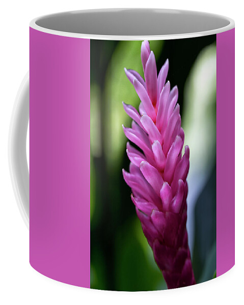 Granger Photography Coffee Mug featuring the photograph Lone Pink Ginger by Brad Granger