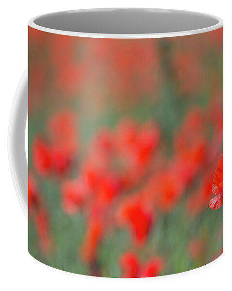 Wild Coffee Mug featuring the photograph Lone Poppy Clarity by Pete Walkden