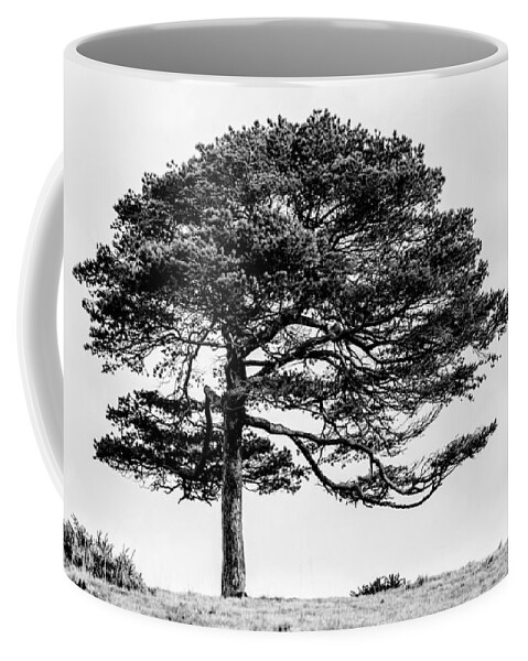 Tree Coffee Mug featuring the photograph Lone Tree by Helen Jackson