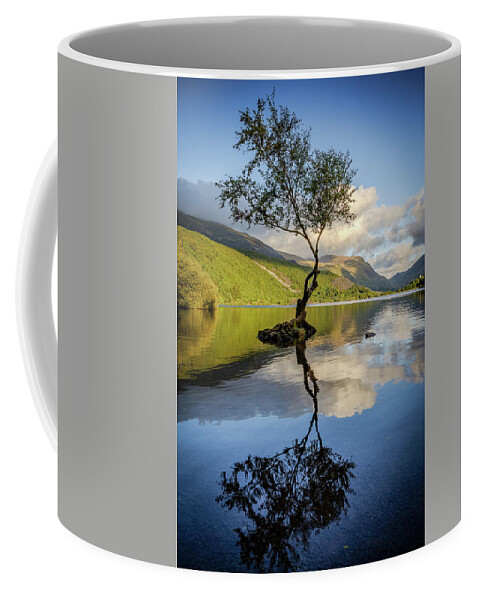 Gwynedd Coffee Mug featuring the photograph Lone Tree, Llyn Padarn by Peter OReilly