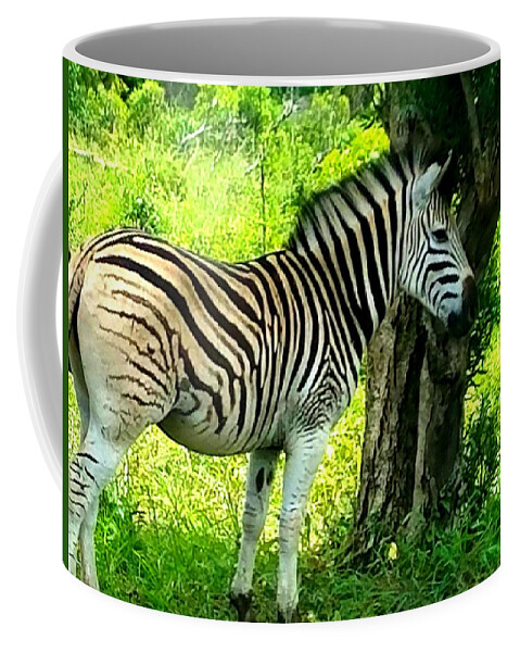 Zebra Coffee Mug featuring the photograph Lone Zebra by Vijay Sharon Govender