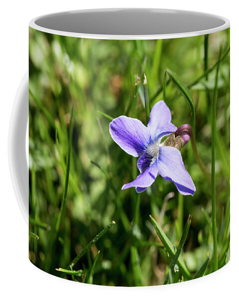 Flower Coffee Mug featuring the photograph Lonely Flower by David Stasiak