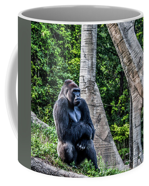 Gorilla Coffee Mug featuring the photograph Lonely Gorilla by Joann Copeland-Paul