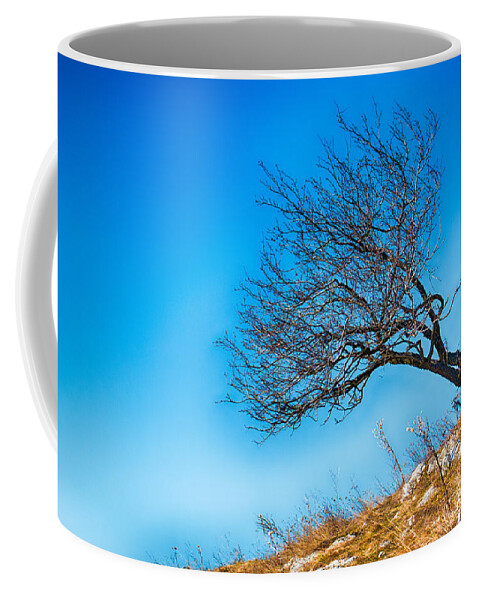 Bulgaria Coffee Mug featuring the photograph Lonely Tree Blue Sky by Jivko Nakev
