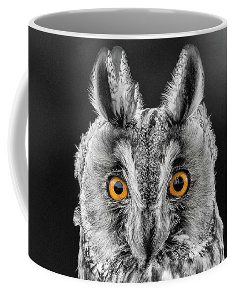 Long Eared Owl Coffee Mug featuring the photograph Long Eared Owl 2 by Nigel R Bell