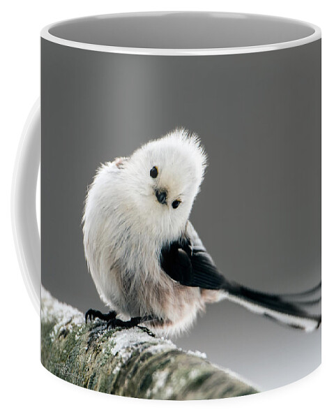 Charming Long-tailed Look Coffee Mug featuring the photograph Charming Long-tailed look by Torbjorn Swenelius