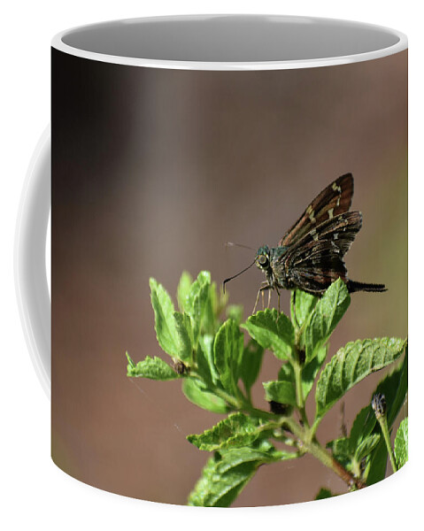 Animals Coffee Mug featuring the photograph Long Tailed Skipper by Skip Willits