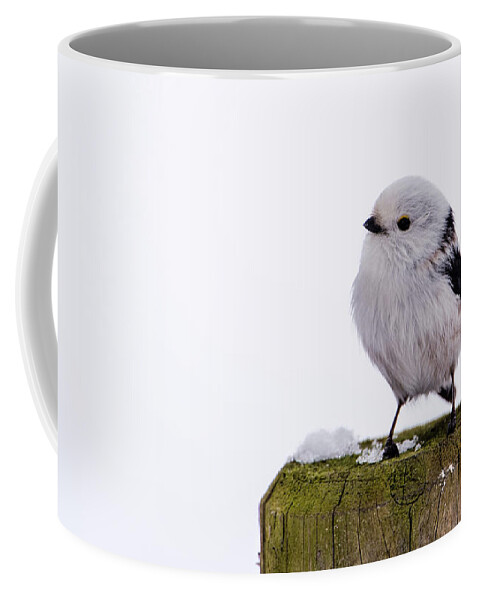 Long-tailed Tit Coffee Mug featuring the photograph Long-tailed tit on the pole by Torbjorn Swenelius