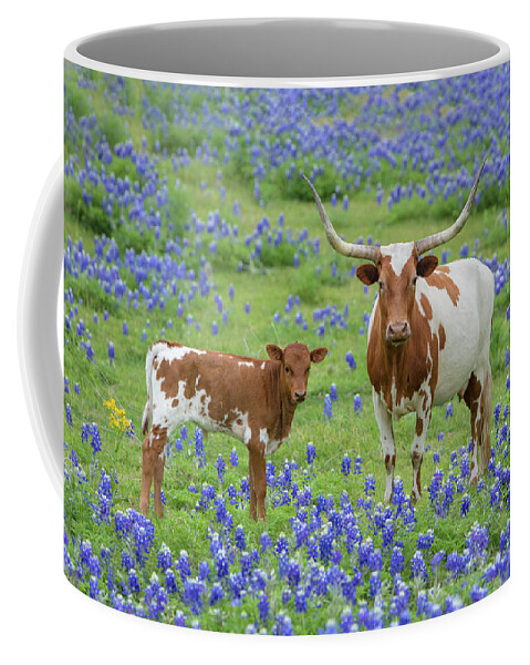 Longhorns Coffee Mug featuring the photograph Longhorns in the Bluebonnets 33 by Rob Greebon