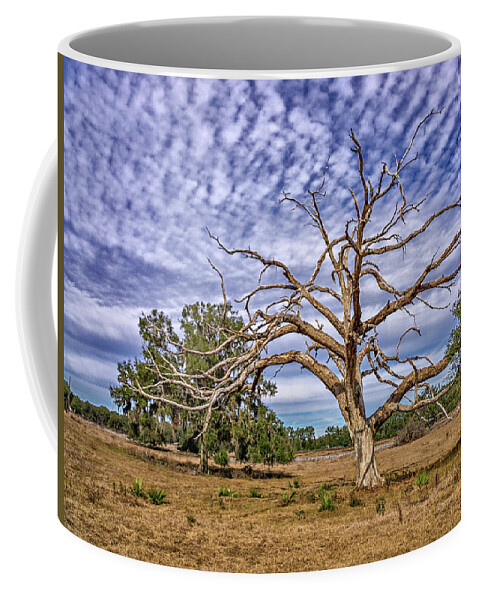 Tree Coffee Mug featuring the photograph Lonley Tree by Dennis Dugan