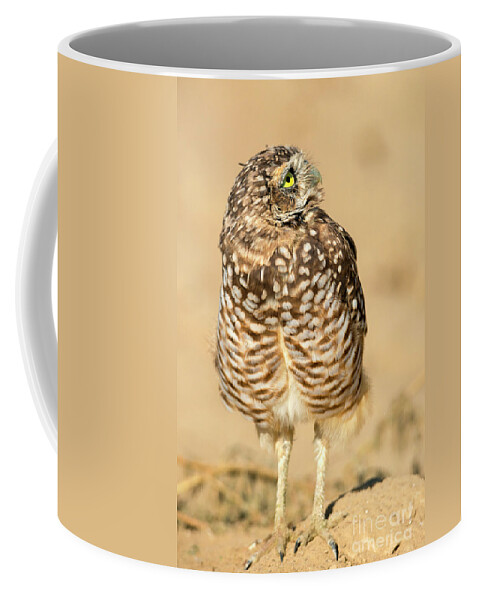 Owl Coffee Mug featuring the photograph Look Up by Michael Dawson