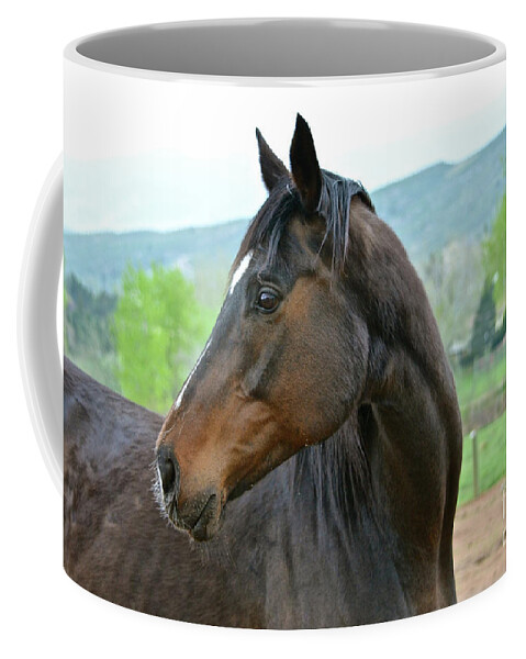 Horse Coffee Mug featuring the photograph Looking Back by Cindy Schneider