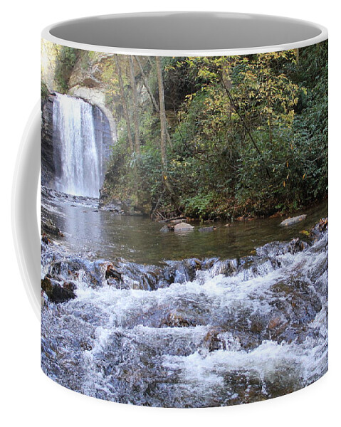 Waterfalls Coffee Mug featuring the photograph Looking Glass Falls downstream by Allen Nice-Webb