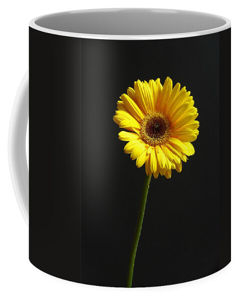 Gerber Daisy Coffee Mug featuring the photograph Looking Up by Juergen Roth