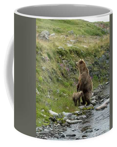 Alaska Coffee Mug featuring the photograph Looking Up the Bluff by Cheryl Strahl