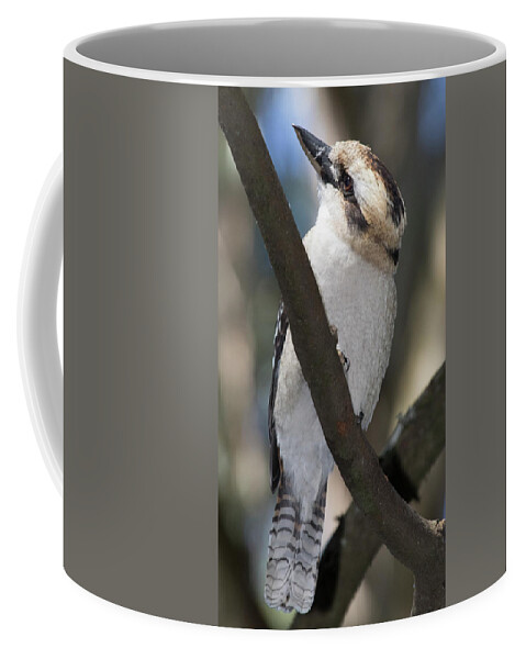 Bird Coffee Mug featuring the photograph Lookout by Masami IIDA