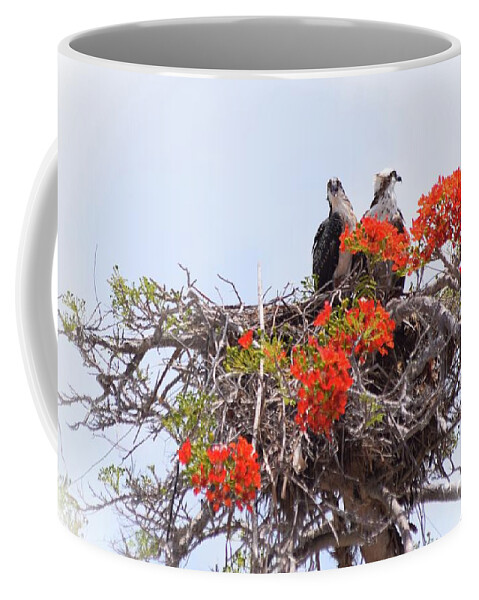 Osprey Coffee Mug featuring the photograph Lookout Post by Sheri McLeroy