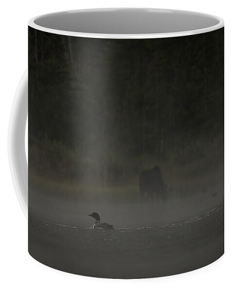 Long Pond Coffee Mug featuring the photograph Loon and Moose in the mist by Benjamin Dahl