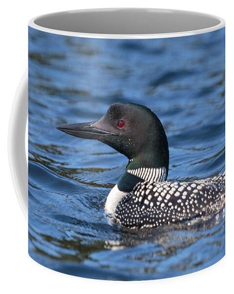 Boundary Waters Coffee Mug featuring the photograph Loon Close UP by Paul Schultz