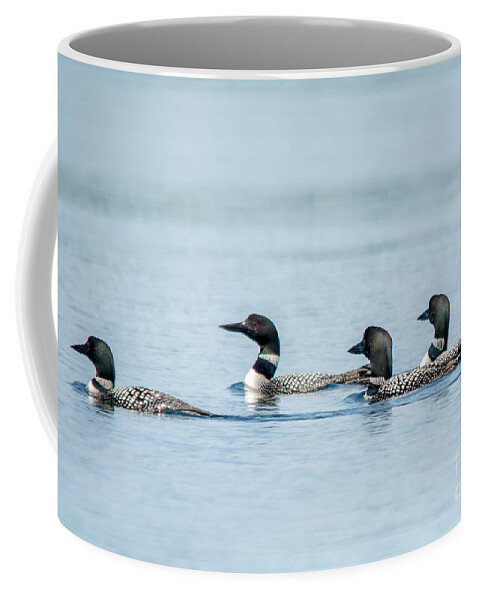 Cheryl Baxter Photography Coffee Mug featuring the photograph Loon Congregation by Cheryl Baxter