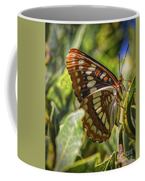 Lorquin's Admiral Butterfly Coffee Mug featuring the photograph Lorquin's Admiral by Mitch Shindelbower