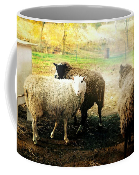 Animals Coffee Mug featuring the photograph Lost and Found by Diana Angstadt