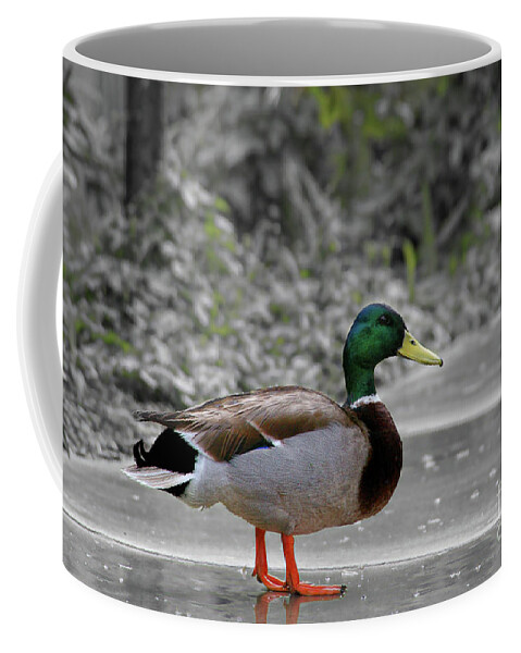 Duck Coffee Mug featuring the photograph Lost Duck by Mariola Bitner