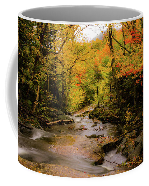 #jefffolger Coffee Mug featuring the photograph Lost River Fall Colors by Jeff Folger