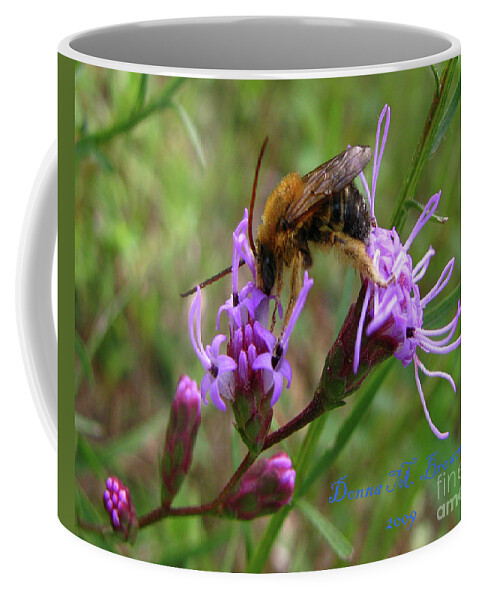 Bee Coffee Mug featuring the photograph Lost Treasures by Donna Brown