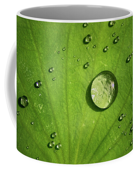 Drops Coffee Mug featuring the photograph Lots of Drops by Don Johnson