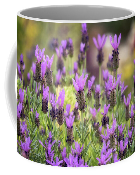 Lavender Coffee Mug featuring the photograph Lots of Lavender by Saija Lehtonen