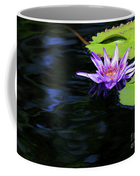 Lotus Coffee Mug featuring the photograph Lotus and Dark Water Refection by Paula Guttilla