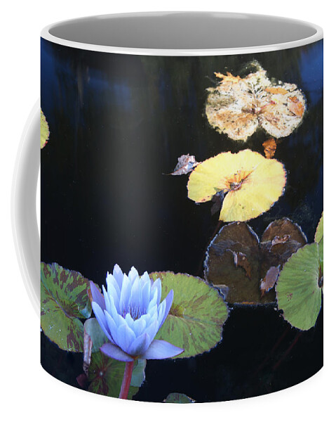 Lotus Coffee Mug featuring the photograph Lotus and Lilly Pads by Douglas Barnett