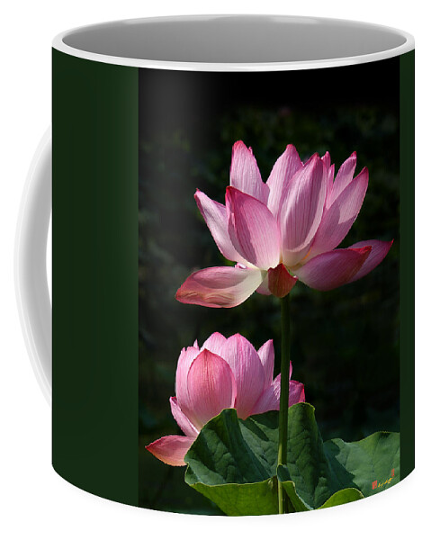 Nature Coffee Mug featuring the photograph Lotus Beauties--Upstaged DL048 by Gerry Gantt