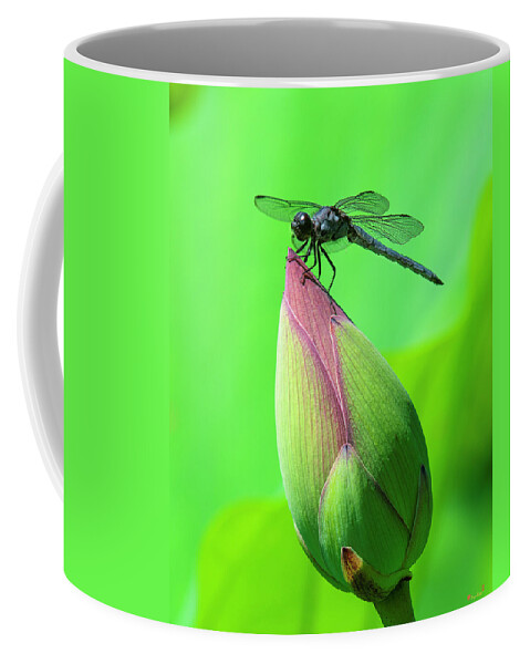 Lotus Coffee Mug featuring the photograph Lotus Bud and Slaty Skimmer Dragonfly DL0105 by Gerry Gantt