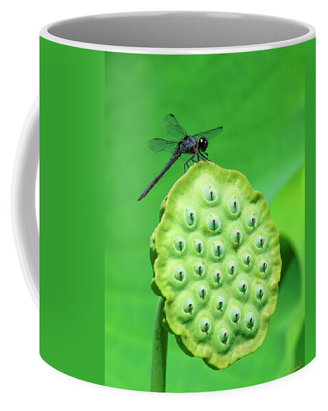Lotus Coffee Mug featuring the photograph Lotus Capsule and Slaty Skimmer Dragonfly DL0106 by Gerry Gantt