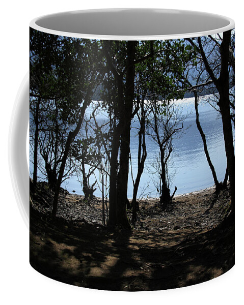 Ireland Coffee Mug featuring the photograph Lough Leane Through The Woods by Aidan Moran