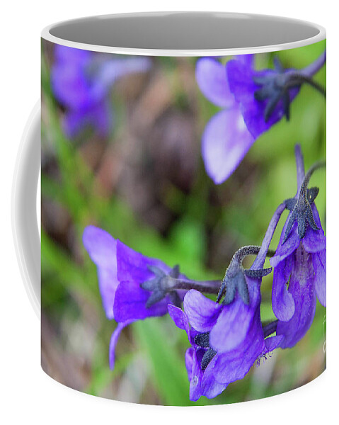  #wildflowers Coffee Mug featuring the photograph Love And Compassion by Jacquelinemari